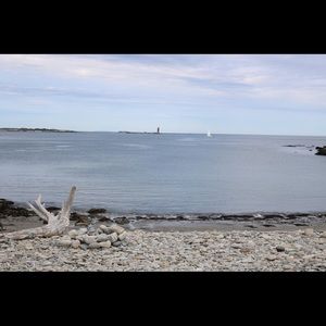 Meet your Posher, Tabitha